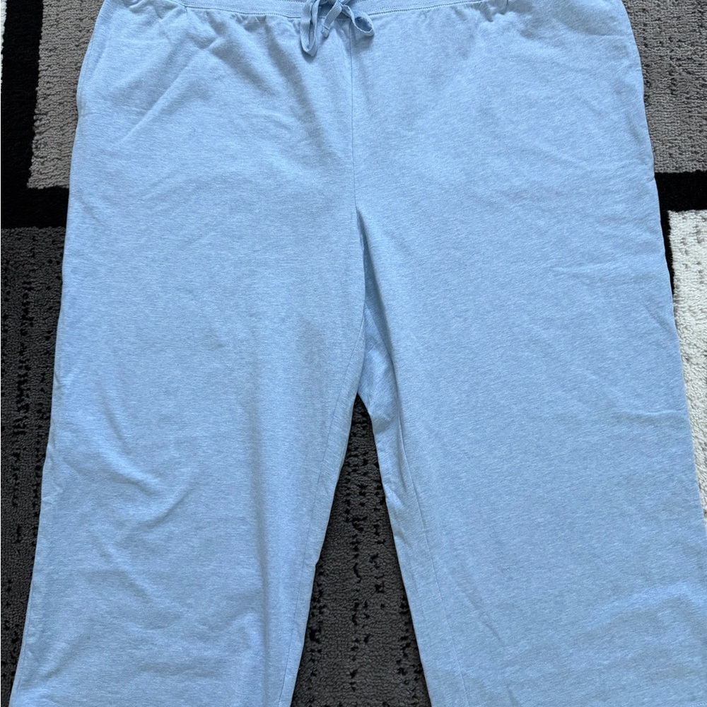 Karen Scott Sport Plus Light Blue Heather Capris Sz1X NWT